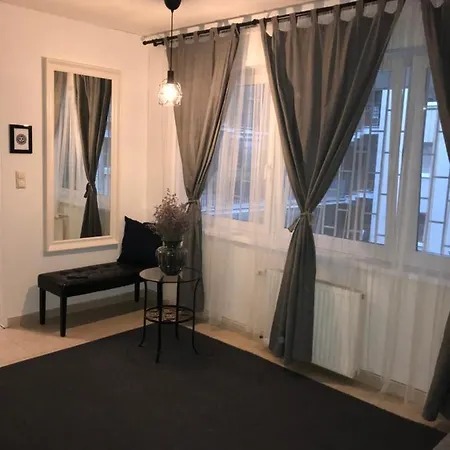 Downtown Rose Garden Apartments Whit Garage Opcional Apartment