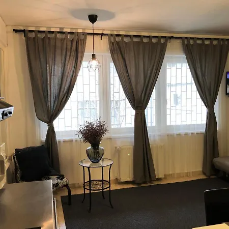 Downtown Rose Garden Apartments Whit Garage Opcional